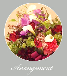 Misena arrangement
